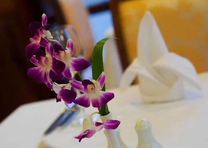 Pierre Hotel 4*
